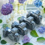 ニコンZ8＆Z5II&Z6III＆Z6Ⅱ ４機を徹底比較！今買うべきニコンのZはどれ！？