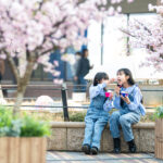 ニコン ポートレート神レンズ NIKKOR Z 135mm f/1.8 S Plenaの圧倒的な魅力について