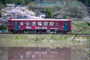 Z8と大三元レンズで長良川鉄道を撮る！美並から郡上八幡 あたりで撮り鉄旅