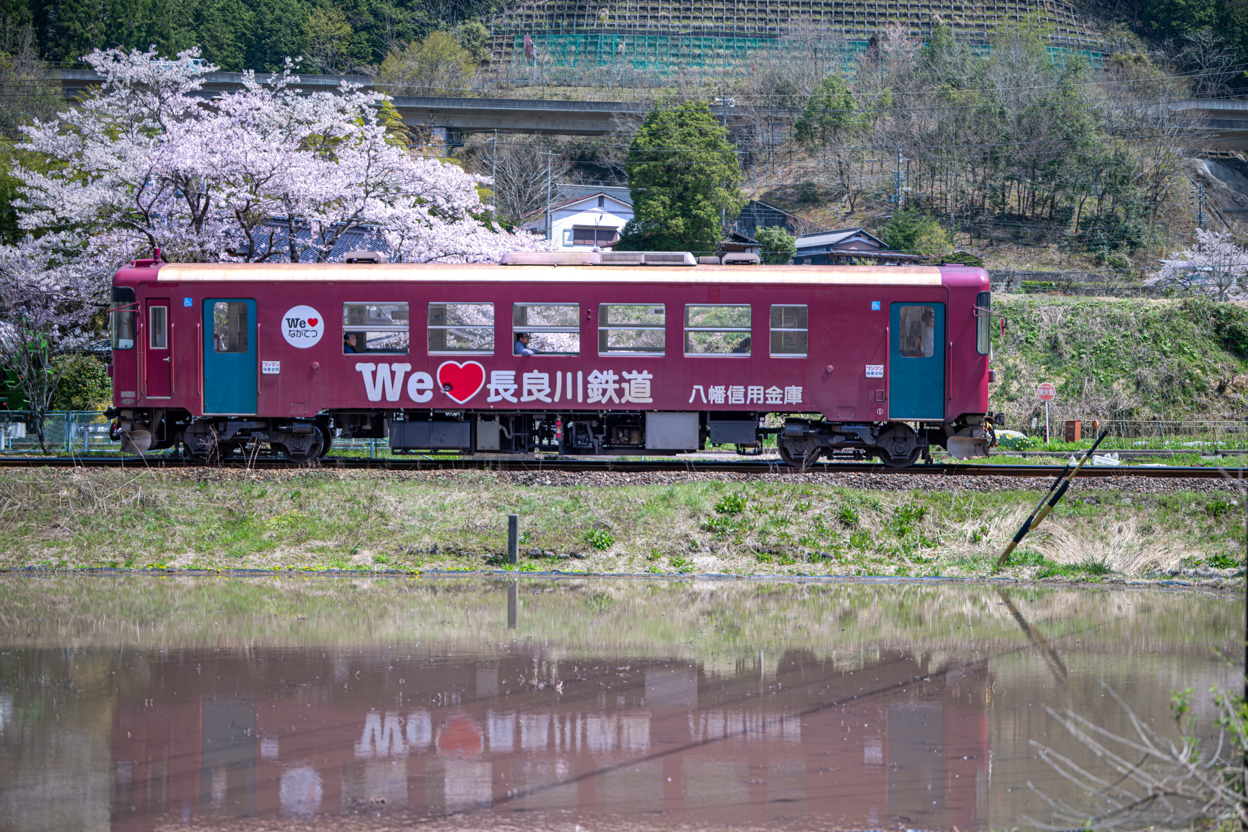 Z8と大三元レンズで長良川鉄道を撮る！美並から郡上八幡 あたりで撮り鉄旅