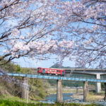 Z8と大三元レンズで長良川鉄道を撮る！郡上大和から北濃駅あたり編