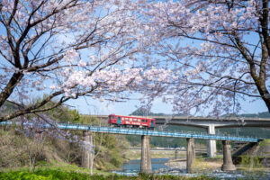 Z8と大三元レンズで長良川鉄道を撮る！郡上大和から北濃駅あたり編