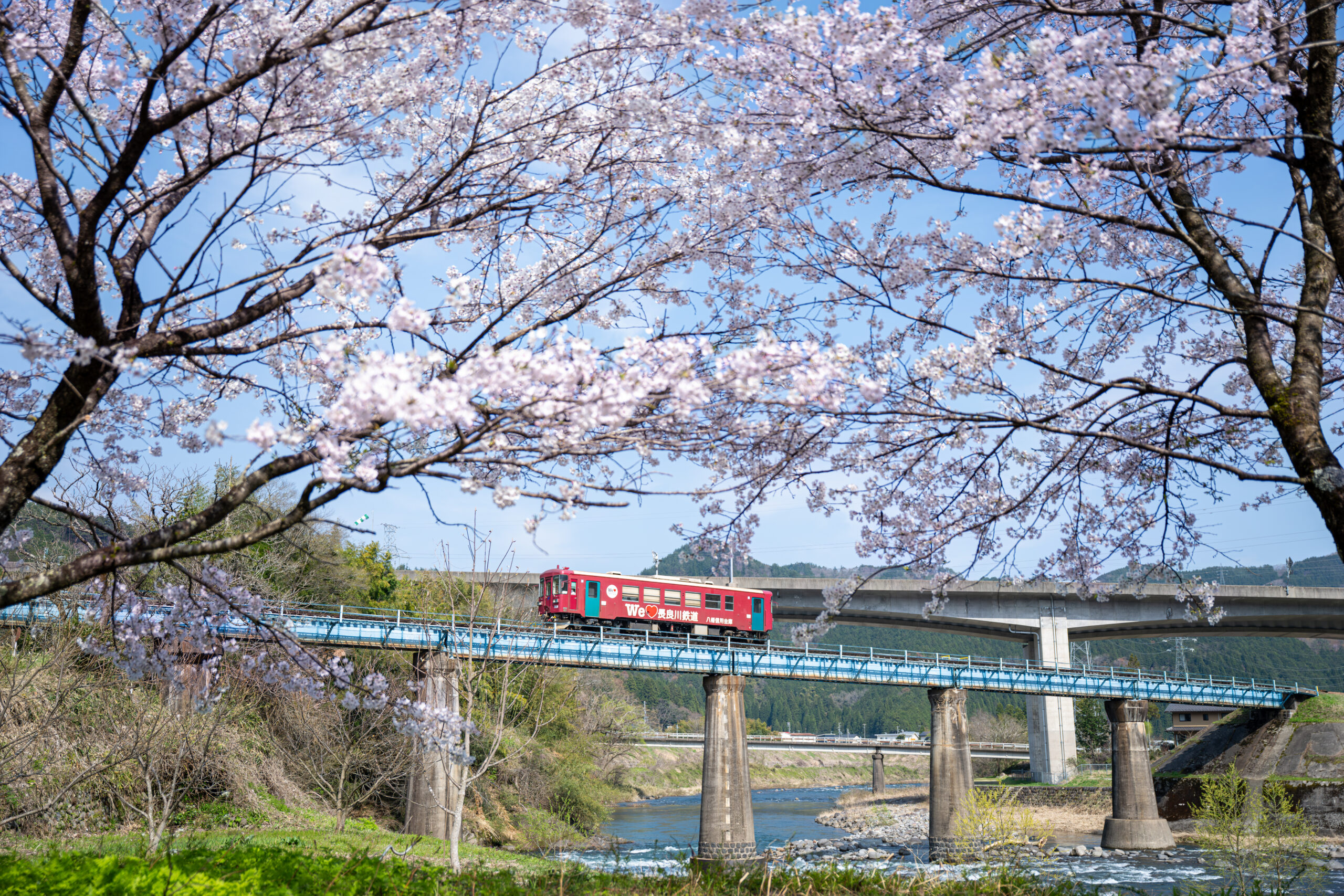 Z8と大三元レンズで長良川鉄道を撮る！郡上大和から北濃駅あたり編