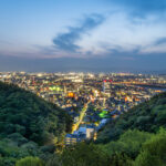 Nikon Z8の4571万画素は必要？私が高画素機をオススメする理由とは！？