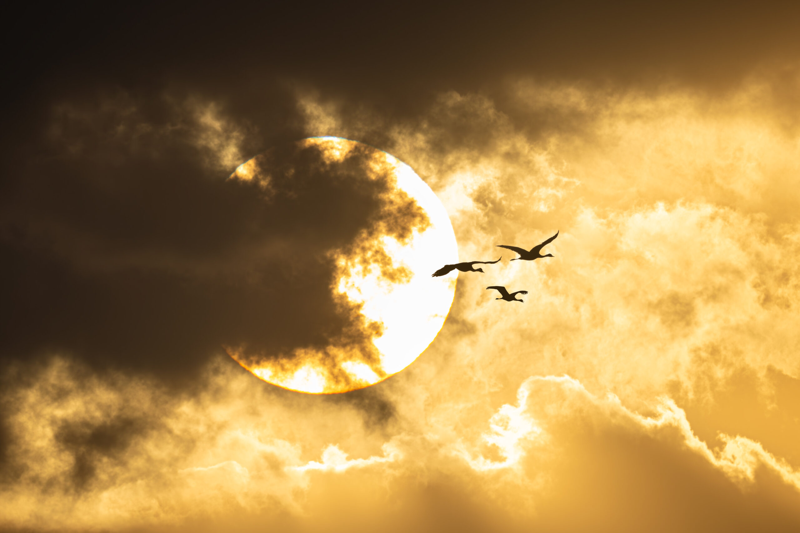 NIKKOR Z 600mm f/4で撮る夕日に感動!キミはこんなに美しい夕日を見たことがあるか?
