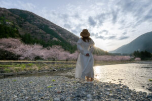 ニコンの大三元レンズ 超広角ズーム NIKKOR Z 14-24mm f/2.8 Sを今すぐ買うべき理由