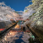 ニコンZ 24-70mm f/2.8 S 標準ズームレンズは最初に買うべき万能レンズ！その理由