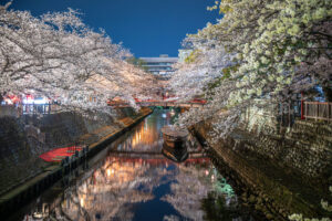 ニコンZ 24-70mm f/2.8 S 標準ズームレンズは最初に買うべき万能レンズ！その理由