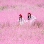 ニコンZ8は良き相棒　カメラと共に”永遠の冒険家でいたい”