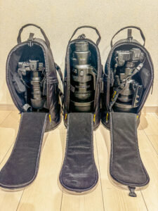 ニコン超望遠レンズ3本を徹底比較！NIKKOR Z 600mm f/4,400mm f/2.8,180-600mm f/5.6-6.3