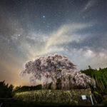 3月は天の川シーズン開幕！Nikon Z8で桜の星景写真を撮りに行こう！